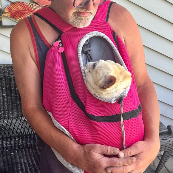 Dog carrier NWOT - Picture 4 of 9